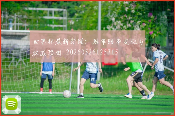 世界杯最新新闻：冠军赔率变化与权威预测_20260526125715